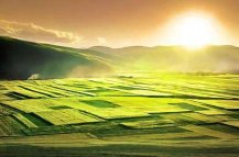 為什么要對(duì)土壤墑情進(jìn)行監(jiān)測(cè)？