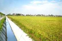 土壤墑情監(jiān)測系統(tǒng)主要有哪些優(yōu)勢？